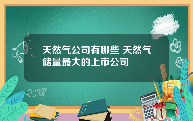 天然气公司有哪些 天然气储量最大的上市公司